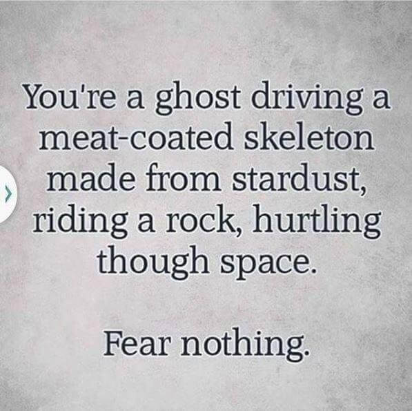 Fear nothing, you glorious meatbag.