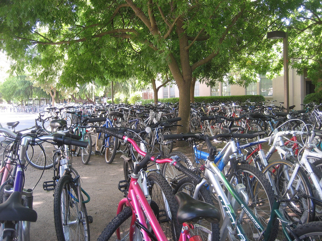 Bicycle Parking at UC Davis